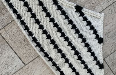 Projet au long cours #40