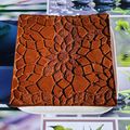 Moelleux au chocolat de Laurent Mariotte