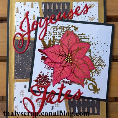 Cartes de vœux - 06 - avec des poinsettias 