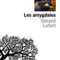 Les amygdales