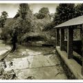 Le lavoir