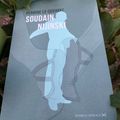 Soudain Nijinski Perrine Le Querrec Éditions La Contre Allée