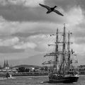 Arrivée du Belem à Bayonne