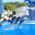 SeaWorld