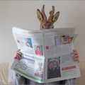 Chevreuil news