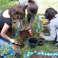 Le jardin aromatique