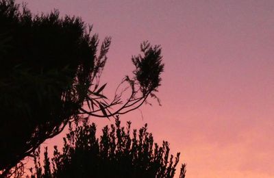 Photos du Dimanche !