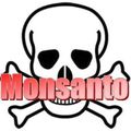 La France veut maintenir le moratoire sur l'OGM MON 810 