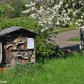 Installer une Maison des insectes pour les attirer au jardin