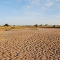Vallée du fleuve Sénégal : la traversée du désert