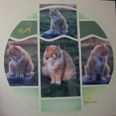 Scraplift de l'automne 2013