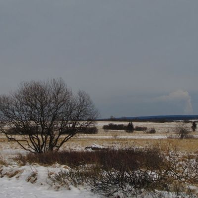 Promenade dans les Hautes-Fagnes
