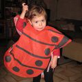 Une coccinelle...