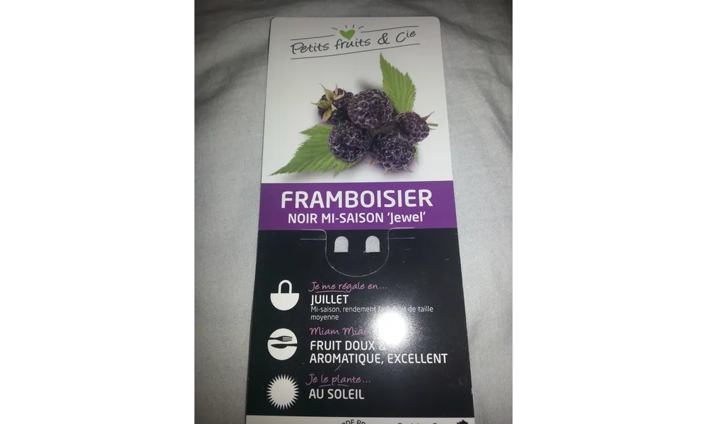 les framboisiers 