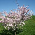 Un week-end de printemps en Bourgogne du sud (2)