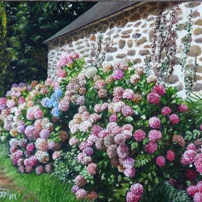 Le Coin des Nouveautés .. 