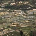 L'incroyable beauté des rizières de Yuanyang