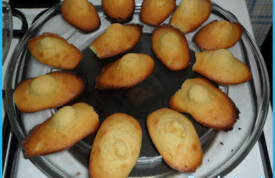 Madeleines au citron