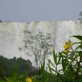 3 - Iguazu