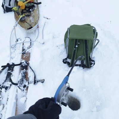 ❄️ 24/02/2024 : C'est dame nature qui décide
