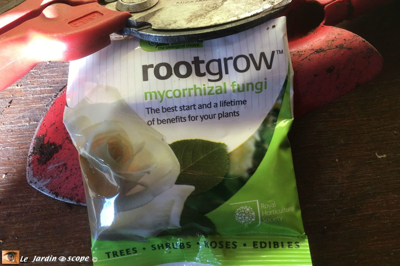 RootGrow