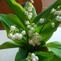 quelques brins de muguet !!!