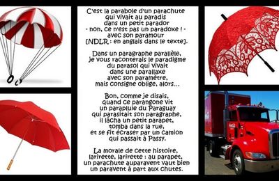 Paraprofessionnellement (joye) (489)