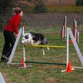 Agility à Montredon - 13 nov 2011