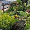 Dans mon jardin en mai malgré une météo capricieuse