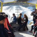 Journée à Galeria et visite de la réserve de Scandola en bateau avec une petite plongée dans une eau cristalline.