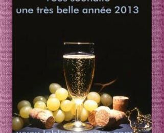 voeux 2013