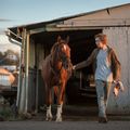 Mardi 17 juillet à 21 heures au Cinéma des Familles LA ROUTE SAUVAGE 