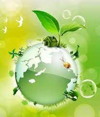 Ecologie arabe et  islamique : la Voie des Quatre éléments, par Mohammed Taleb