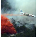 Débat sur les moyens de la lutte contre les incendies et la forêt de demain