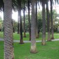 JARDINS NICOIS (ARBRES)