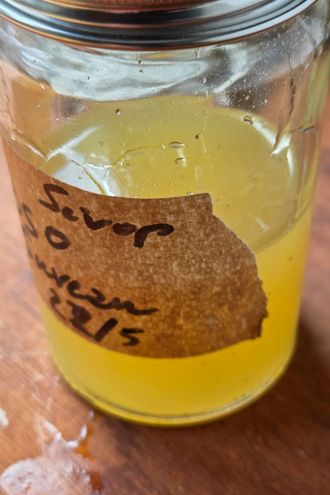 Sirop cru de fleur de sureau