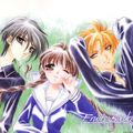 Fruits baskets