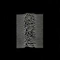 JOY DIVISION - Youpi vive la vie