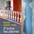 D'entre les pierres de David Lelait-Helo