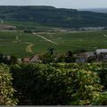 Un dimanche sur les routes de Champagne : A humer