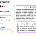 Carnet de bord du 18 au 24 novembre 2020