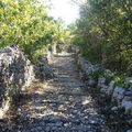 Balade à Sauve (2) : la Mer des Rochers