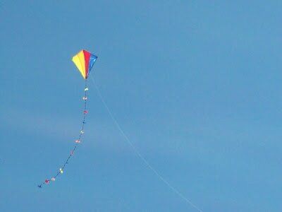 Atelier Cerfs-Volants