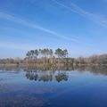 REFLETS...