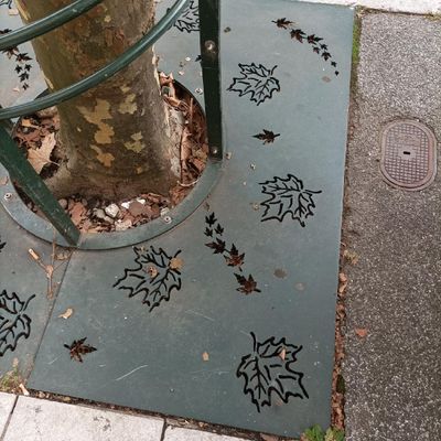 Jeu Photo 2025 : 41 / 52