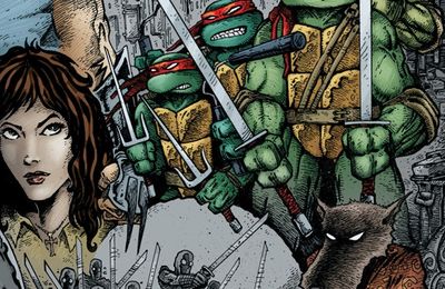 IDW TMNT Teenage Mutant Ninja Turtles the ultimate collection