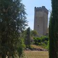 Abbaye de Montmajour