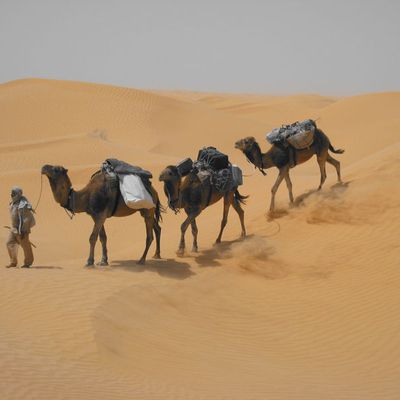 Entre dunes et ciel