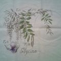 GLYCINE LA FIN