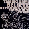 Believe Reproduction ~GUNDAM SEED EDITION~ (nami tamaki)